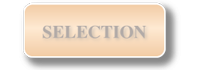 Go to selection page